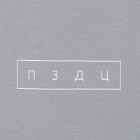 Футболка KAFTAN "пздц", серый, р. 46