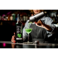 Cироп Spoom &laquo;Мята&raquo;, 0,25 л