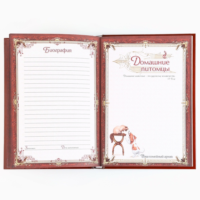 Подарочный набор родословная книга в шкатулке &laquo;Новый год: Дед мороз&raquo;