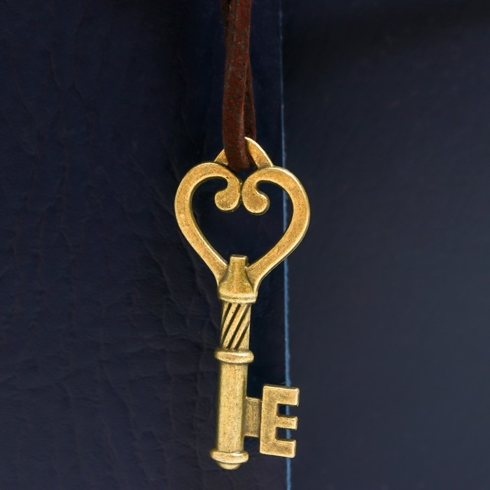 Фотоальбом 30 листов "Синий океан" кожзам (на кольцах) 22,5х18х3 см