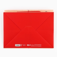 Пакет подарочный новогодний с широким дном «Сказочный подарок», 25 х 19 х 18 см Пакет подарочный новогодний с широким дном «Сказочный подарок», 25 х 19 х 18 см