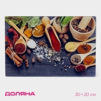 Доска разделочная стеклянная Доляна &laquo;Пряности&raquo;, 30&times;20 см