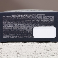 Подарочный набор косметики &laquo;Сильному духом&raquo;, гель для душа и шампунь для волос, 2 х 100 мл, Новый Год