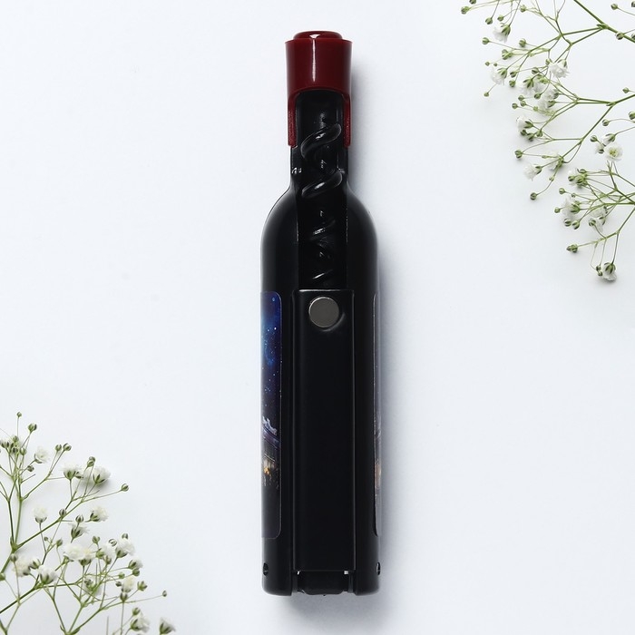 Магнит-открывашка &laquo;Екатеринбург&raquo;, 2,5 х 11,8 см