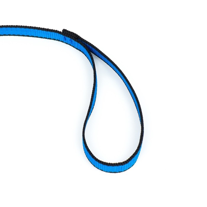 Поводок 1,2 м х 1,5 см, сине-черный Поводок 1,2 м х 1,5 см, сине-черный