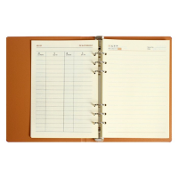 Органайзер на кольцах "Престиж" А5, 92 листа в линейку, обложка кожзам, МИКС Органайзер на кольцах "Престиж" А5, 92 листа в линейку, обложка кожзам, МИКС