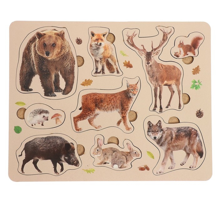 Рамка-вкладыш &laquo;Лесные животные&raquo;