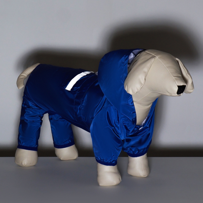 Комбинезон для собак, демисезонный с подкладом, размер XL (ДС 36, Ог 52 см), синий Комбинезон для собак, демисезонный с подкладом, размер XL (ДС 36, Ог 52 см), синий