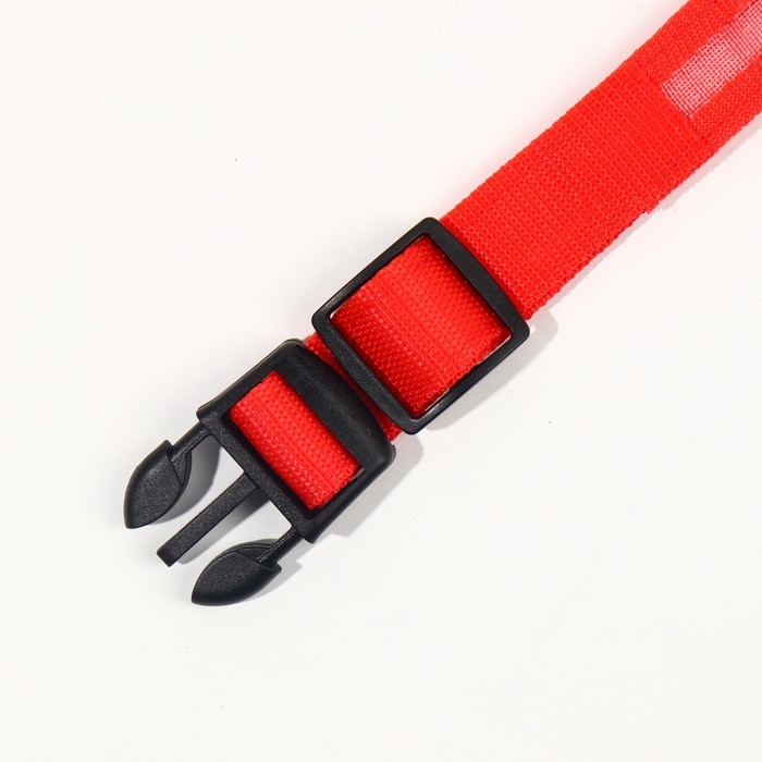 Ошейник с подсветкой размер S, ОШ 35-43 х 2,5 см, 3 режима свечения красный Ошейник с подсветкой размер S, ОШ 35-43 х 2,5 см, 3 режима свечения красный