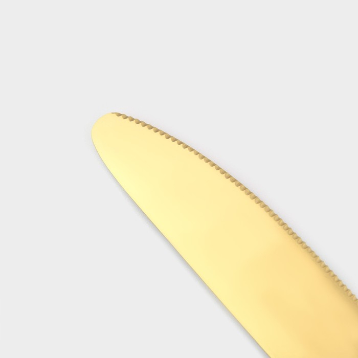 Столовые приборы из нержавеющей стали Magistro &laquo;Оску стандарт&raquo;, 12 предметов, цвет золотой