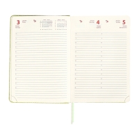 Ежедневник датированный 2025 года, A5, 168 листов, deVENTE. Barbara, твердая обложка кожзам с поролоном, перфорацией, ляссе, блок 70, зеленый