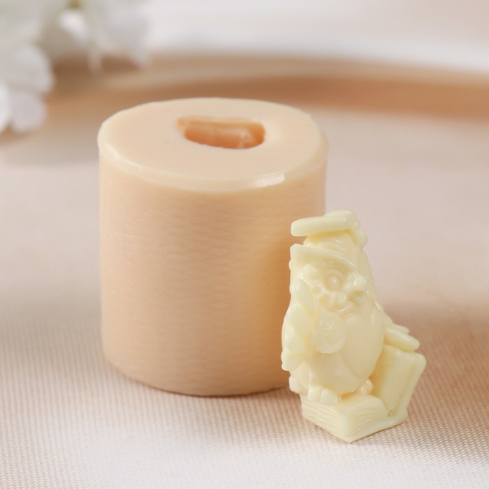 Молд силиконовый "Ученая сова №4" 4х4,2х4,2 см