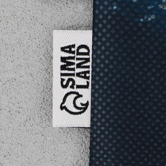 Мешок для обуви &laquo;Чемпион&raquo; нетканное полотно, размер 30 х 40 см