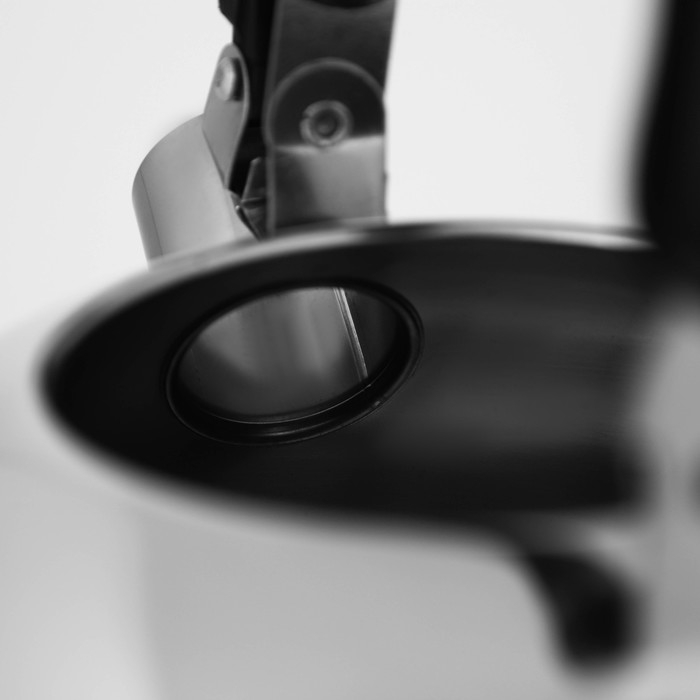 Чайник со свистком из нержавеющей стали Доляна «Чёрная ночь», 2 л, индукция, цвет хромированный Чайник со свистком из нержавеющей стали Доляна «Чёрная ночь», 2 л, индукция, цвет хромированный