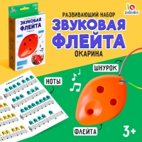Развивающий набор «Звуковая флейта» Развивающий набор «Звуковая флейта»