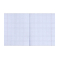 Тетрадь 48 листов в клетку Calligrata "Яркие цветы", обложка мелованный картон, УФ-лак, блок офсет, МИКС