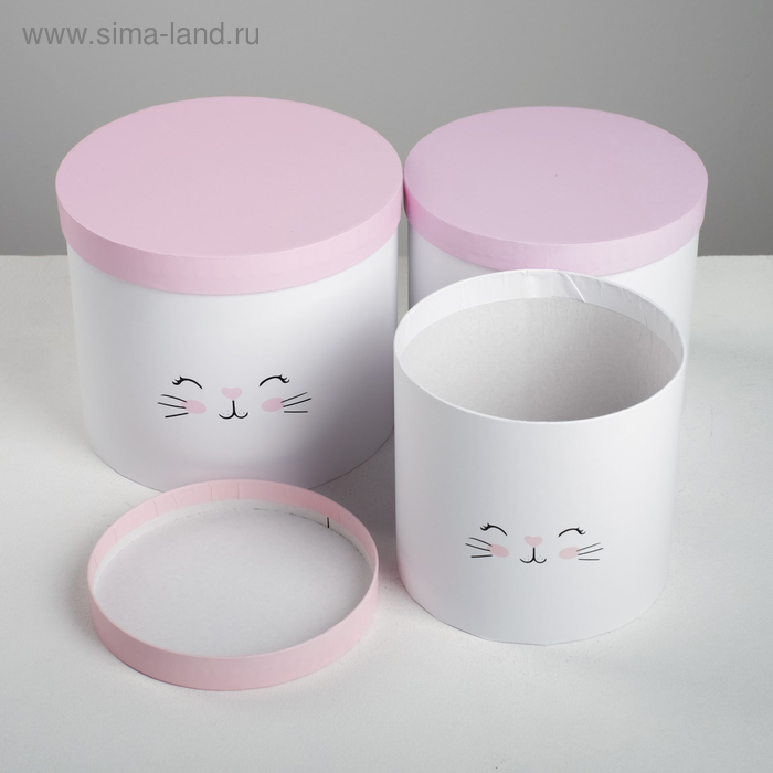 Набор коробок 3 в 1, упаковка подарочная, &laquo;Котики&raquo;, 14 х 14 х 13 - 18 х 18 х 15 см