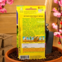 Семена Петуния Софистика черная F1 крупноцветковая, 4 шт., Семена Петуния Софистика черная F1 крупноцветковая, 4 шт.,