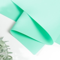 Фоамиран иранский 0,8-1 мм (мятный) 60х70 см Фоамиран иранский 0,8-1 мм (мятный) 60х70 см