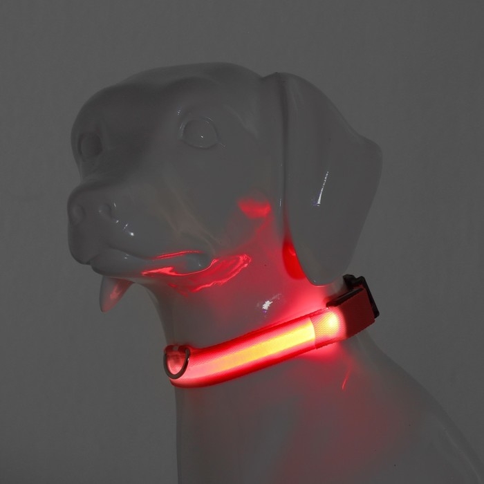 Ошейник с подсветкой размер L, ОШ 45-52 х 2,5 см, 3 режима свечения красный Ошейник с подсветкой размер L, ОШ 45-52 х 2,5 см, 3 режима свечения красный