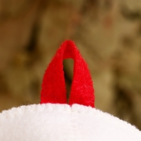 Шапка банная с аппликацией "За любой движ, если жена отпустит" Шапка банная с аппликацией "За любой движ, если жена отпустит"