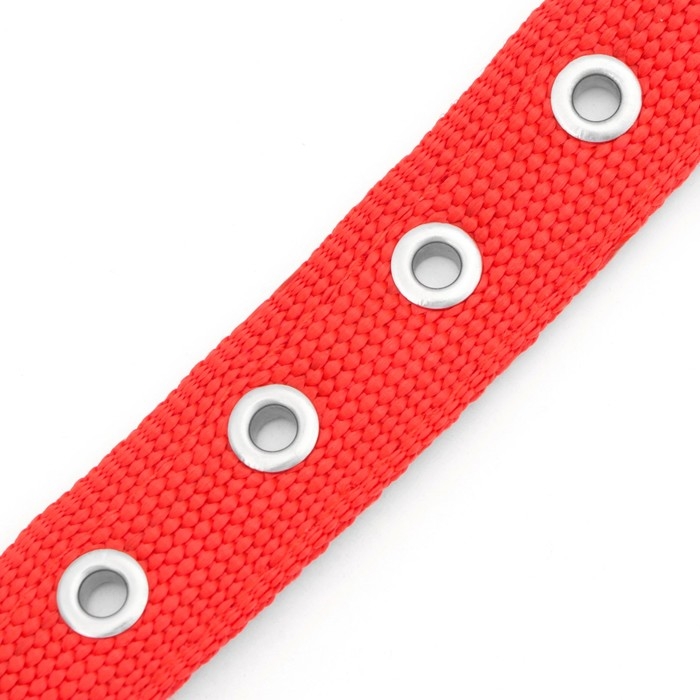Ошейник "Комфорт" комбинированный, 55 х 2,5 см, ОШ 40-50 см, красный