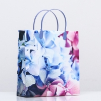 Пакет "Безупречные цветы", мягкий пластик, 26 х 23 см, 110 мкм Пакет "Безупречные цветы", мягкий пластик, 26 х 23 см, 110 мкм