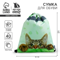 Мешок для обуви со светоотражающим элементом &laquo;Забавный котёнок&raquo; 30 х 40 см