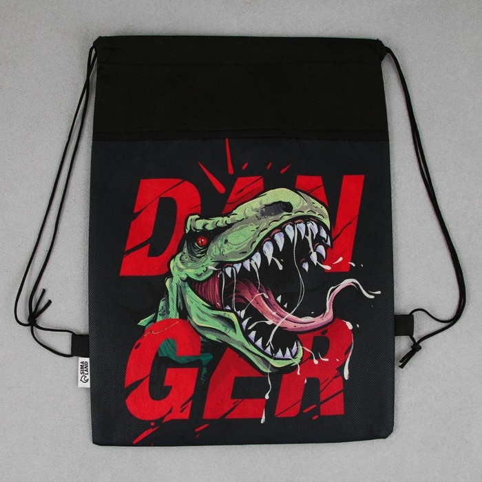 Мешок для обуви &laquo;Динозавр&raquo; нетканное полотно, размер 30 х 40 см