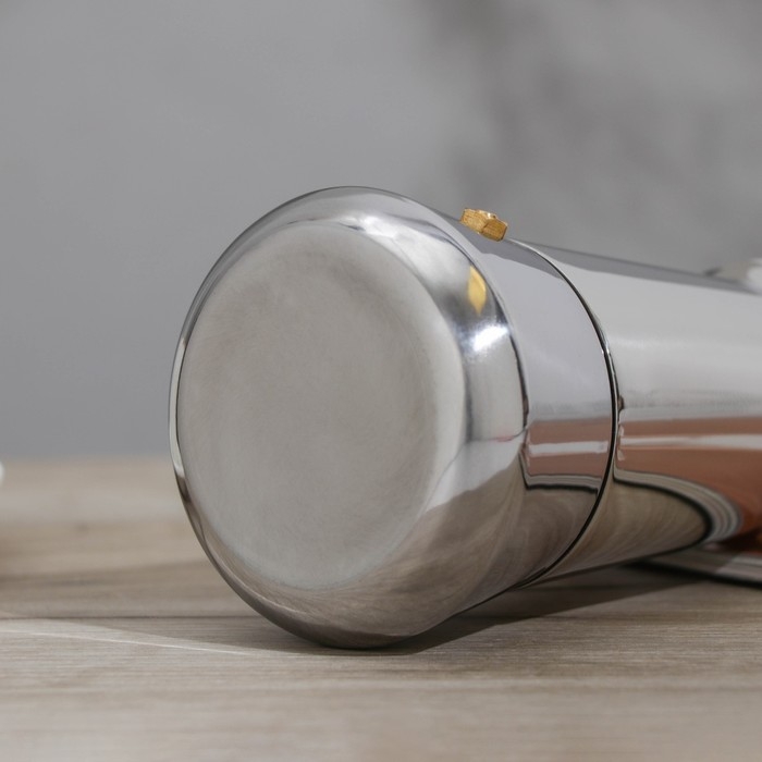 Кофеварка гейзерная Magistro Classic, на 2 чашки, 100 мл, нержавеющая сталь