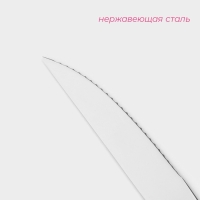 Набор ножей для стейка из нержавеющей стали Доляна, h=23,5 см, толщина ручки 4 мм, 3 шт, цвет серебряный