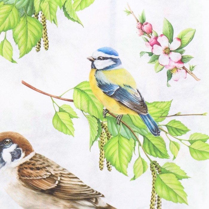 Набор декупажных карт 6 шт &laquo;Птицы&raquo;