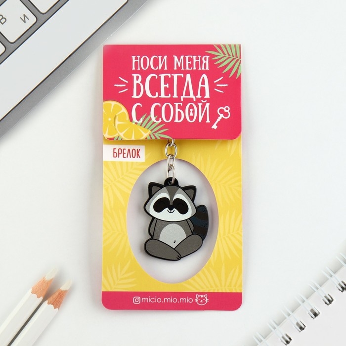 Брелок для ключей акриловый &laquo;Енот&raquo;, 7.2 х 14 см