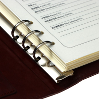 Органайзер на кольцах "Классика" А5, 96 листов в линейку с ремешком, МИКС Органайзер на кольцах "Классика" А5, 96 листов в линейку с ремешком, МИКС