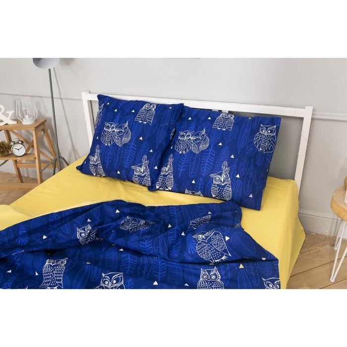 Постельное бельё "Этель" дуэт Ушастые совы (вид 3) 143 х 215 см - 2 шт., 220 х 240 см, 70 х 70 см - 2 шт