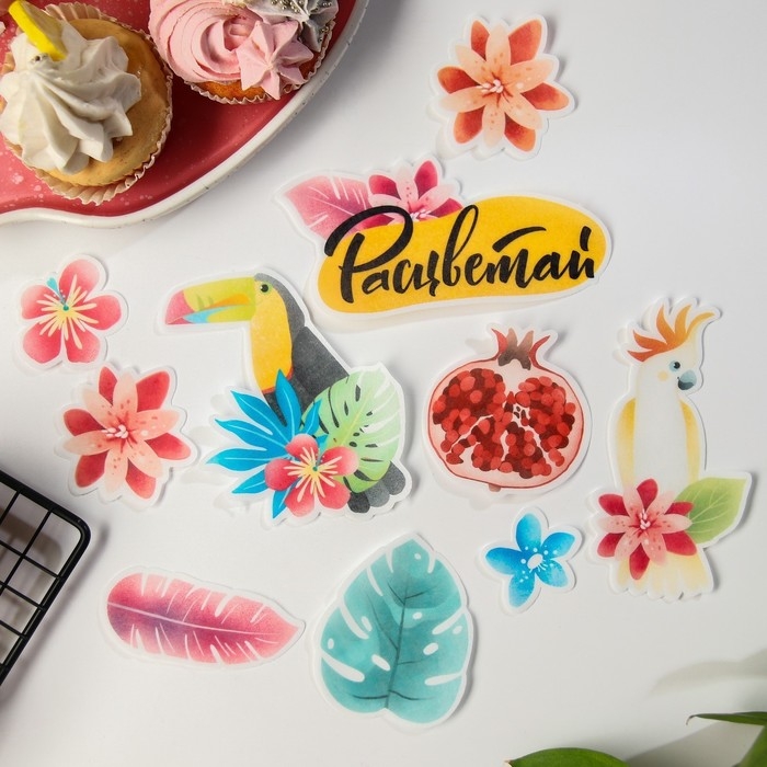 Вафельные картинки съедобные «Расцветай» для капкейков, торта KONFINETTA, 10 шт. Вафельные картинки съедобные «Расцветай» для капкейков, торта KONFINETTA, 10 шт.