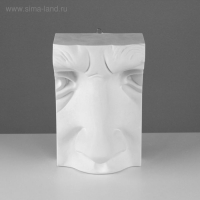 Гипсовая фигура нос Давида, 18 х 15 х 29 см Гипсовая фигура нос Давида, 18 х 15 х 29 см