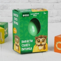 Растущие животные в яйце «Сова» МИКС Растущие животные в яйце «Сова» МИКС