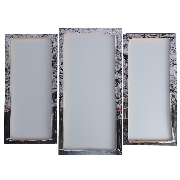 Модульная картина "Цветущие деревья"  (2-25х52; 1-30х60) 60х80 см