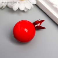 Декор для творчества "Ягода шиповника" набор 15 шт 2,5х2,5х3,8 см