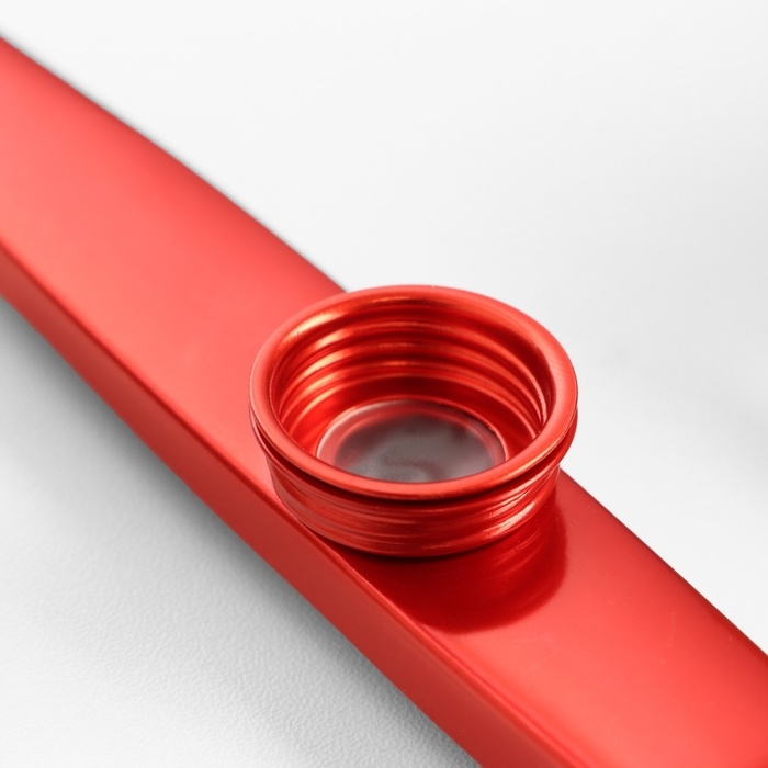 Набор Казу Music Life 4 штуки: синий, красный, фиолетовый, зеленый; металл