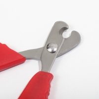 Ножницы-когтерезы малые с упором для пальца, 10 х 5 х 0,5 см, эконом, микс цветов Ножницы-когтерезы малые с упором для пальца, 10 х 5 х 0,5 см, эконом, микс цветов