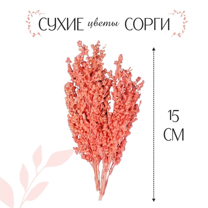 Сухие цветы сорги, 5 г, цвет розовый Сухие цветы сорги, 5 г, цвет розовый
