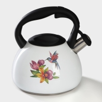 Чайник со свистком из нержавеющей стали Доляна &laquo;Колибри&raquo;, 3 л, с индикатором нагрева