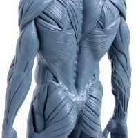 Макет "Тело человека" 29см Макет "Тело человека" 29см