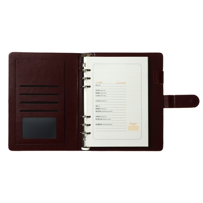 Органайзер на кольцах Органайзер на кольцах "Классика" А5, 96 листов в линейку с ремешком, МИКС