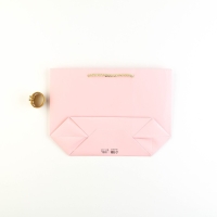 Пакет подарочный, упаковка, &laquo;Самой&raquo;, 19 х 20 х 9 см