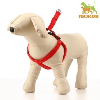 Шлейка "Комфорт" комбинированная, 1,5 см, ОШ 36-50 см, ОГ 40-55 см, красная Шлейка "Комфорт" комбинированная, 1,5 см, ОШ 36-50 см, ОГ 40-55 см, красная