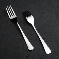 Вилка столовая «Мондиал», длина 19,8 см, толщина 2,5 мм, цвет серебряный Вилка столовая «Мондиал», длина 19,8 см, толщина 2,5 мм, цвет серебряный