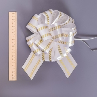 Бант-шар №5